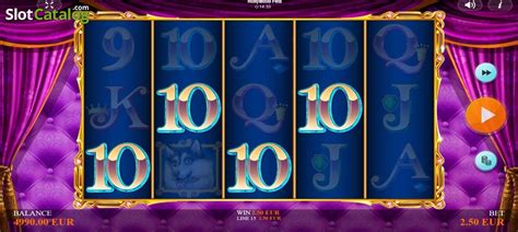hollywood pets slots games|Hollywood Pets Slot Review 2025 .